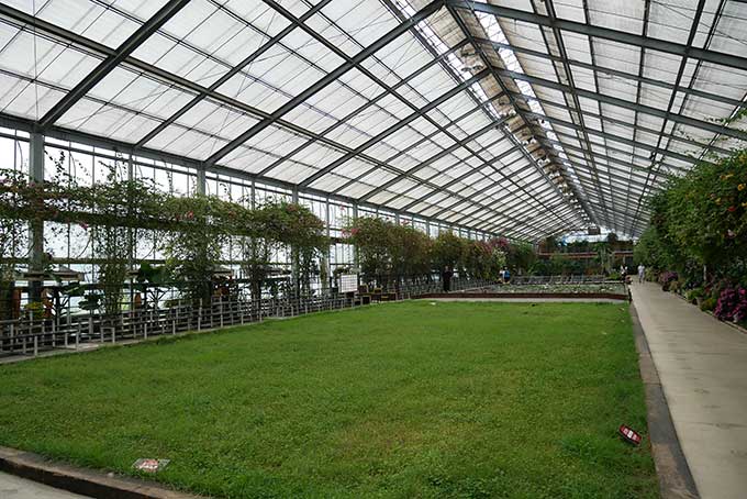 ウォーターリリーズエリア