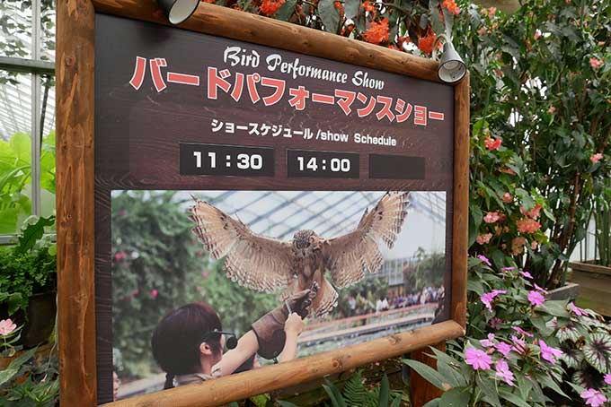 バードパフォーマンスショー
