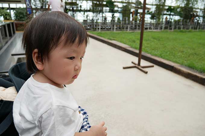 始まりを待ちます