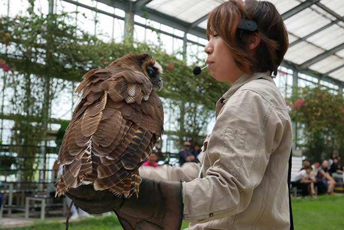 間近で見られる!!