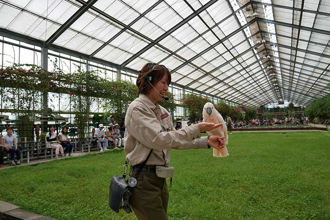 間近で見られる!!