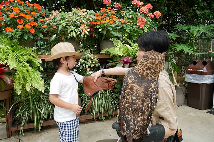 グローブを装着して