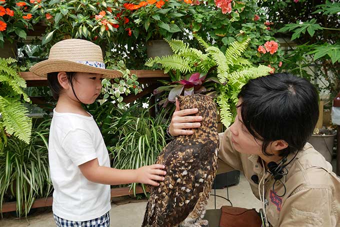 ありがとうと感謝を伝える