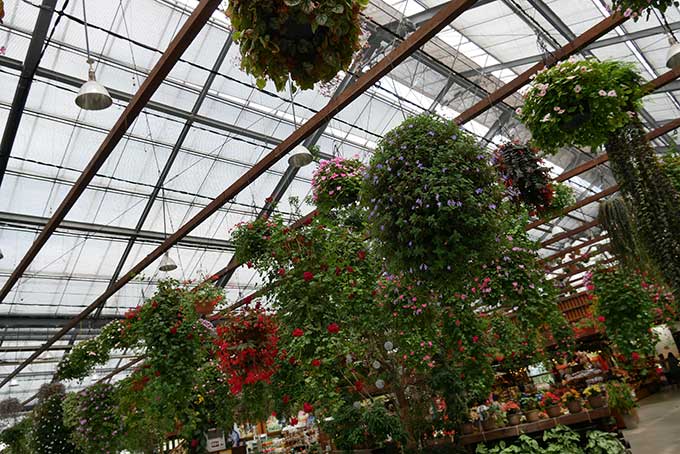 フラワーシャワーで休憩