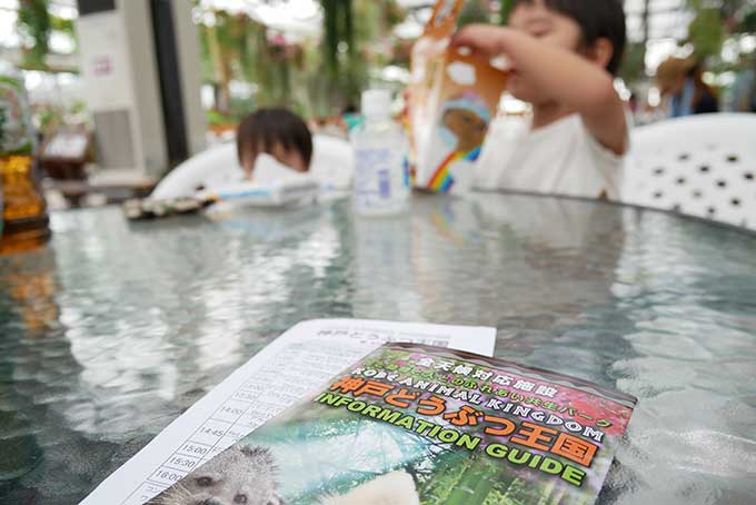 神戸どうぶつ王国