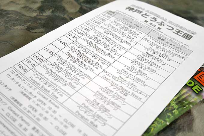 色んなショーが開催されています