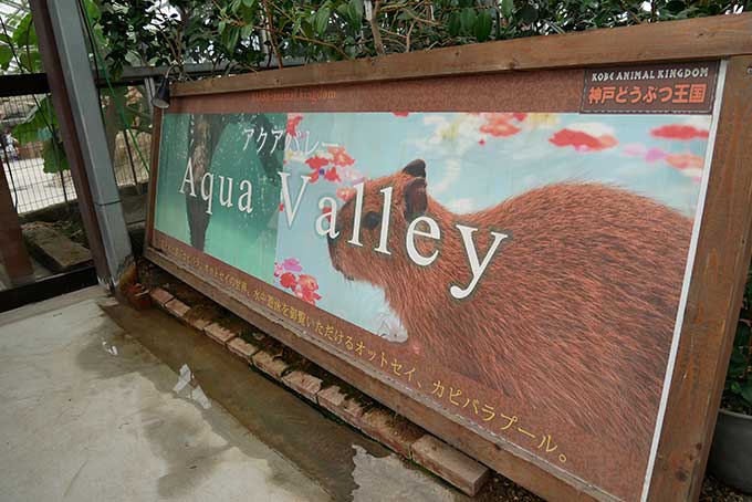 神戸どうぶつ王国・アクアバレー