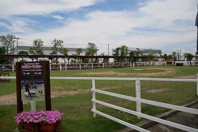 外は暑いですが…