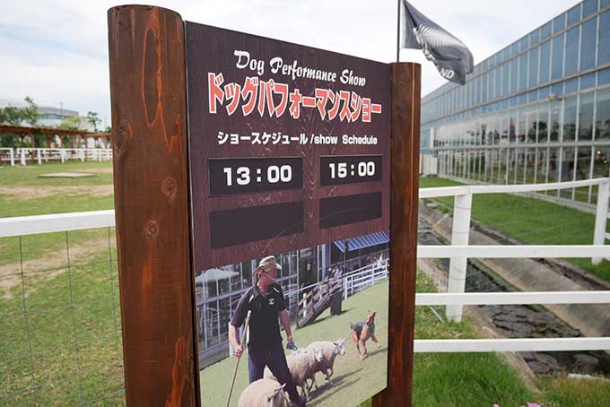 ドッグステージ