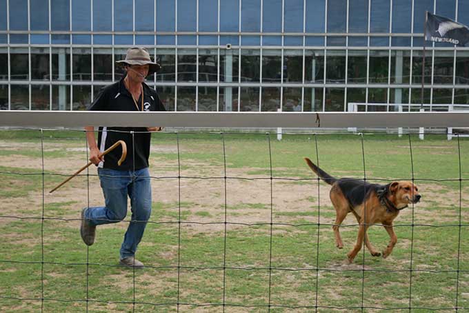 ドッグステージ開始!!