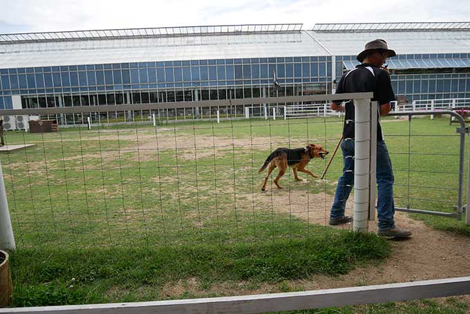 ニュージーランドハンタウェイが目の前に!!