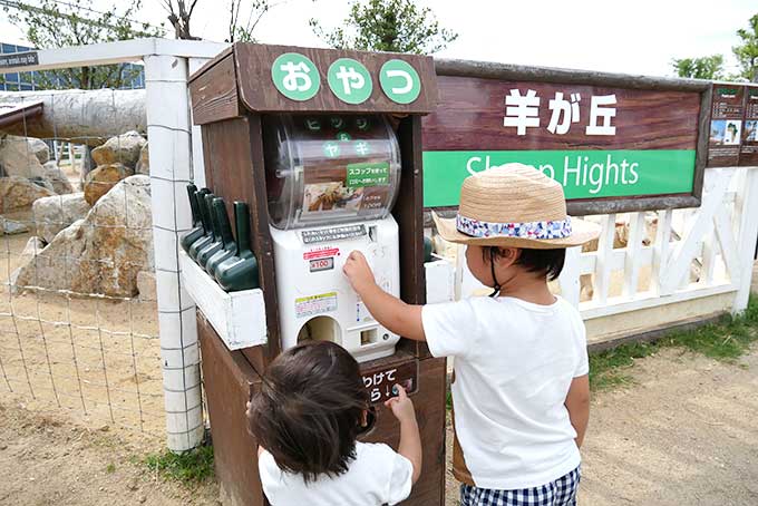 羊のおやつを購入!!
