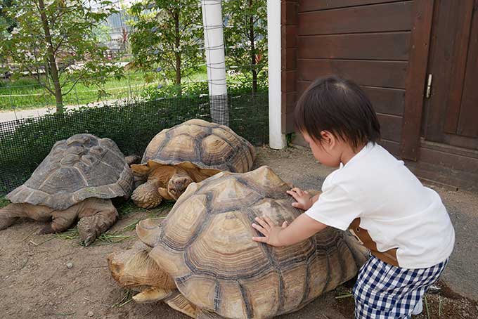 次男君はガッツリと!!