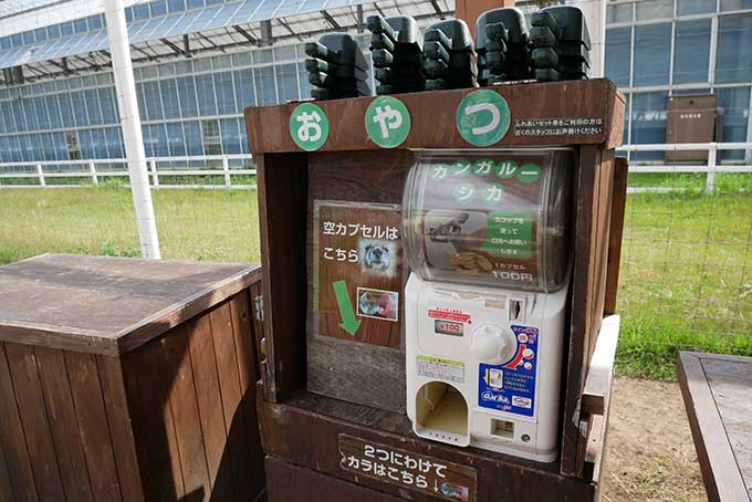 またまたおやつを発見!!