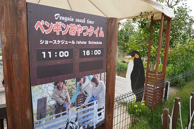 ペンギンおやつタイム