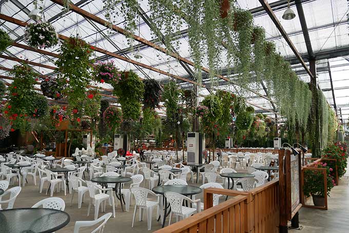 涼しいインサイドパークへ