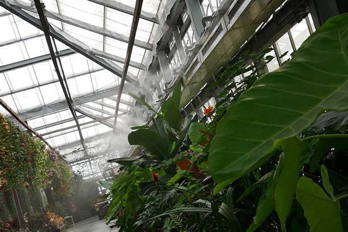 涼しいインサイドパーク