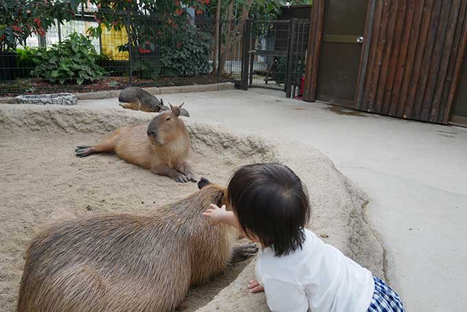 怖いもの無しの次男君