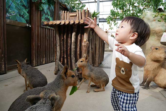 笹の葉を要求する次男君