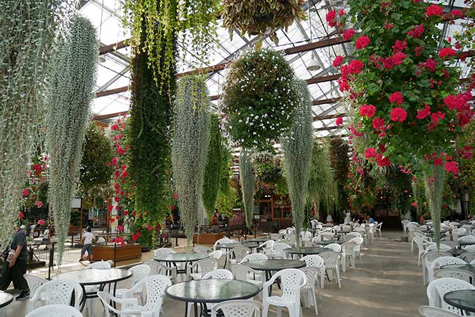 北エントランス側