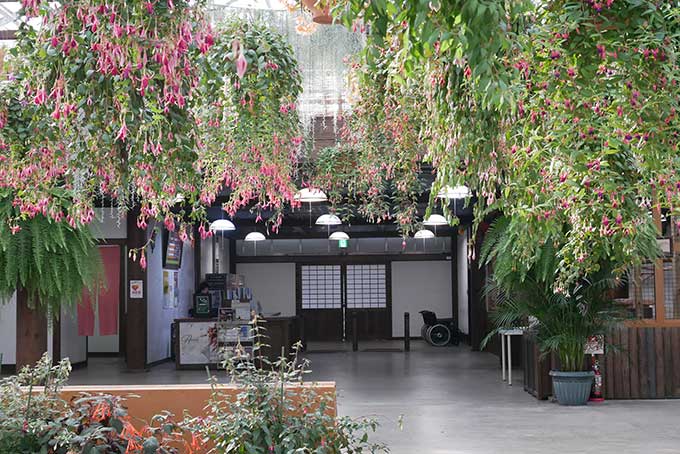 ポートライナーからの入り口