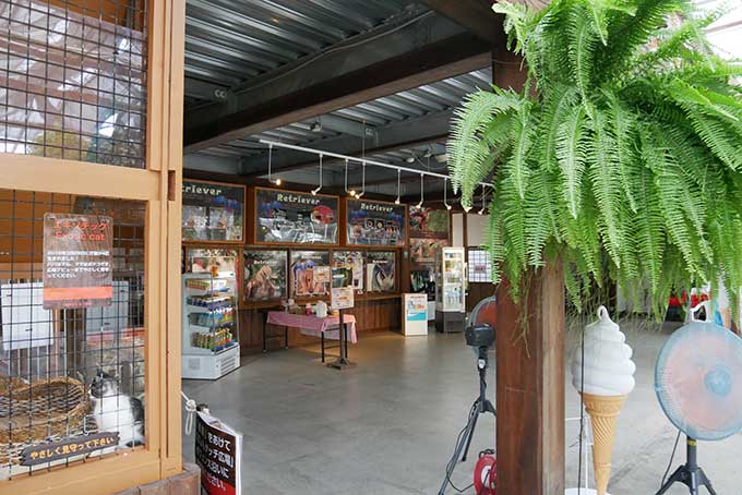 ふれあいコーナー