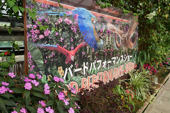 バードパフォーマンスショー