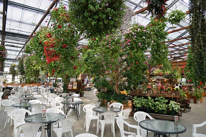 フラワーシャワー