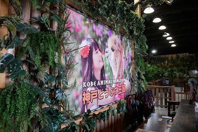 神戸どうぶつ王国