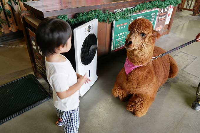 楽しかった神戸どうぶつ王国