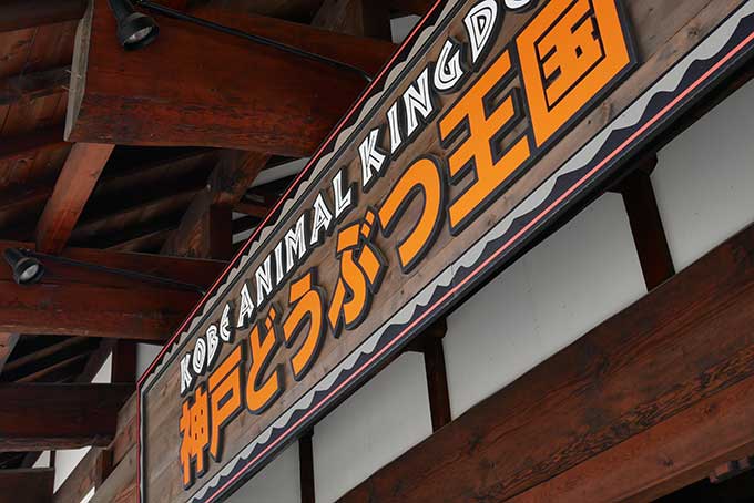 神戸どうぶつ王国