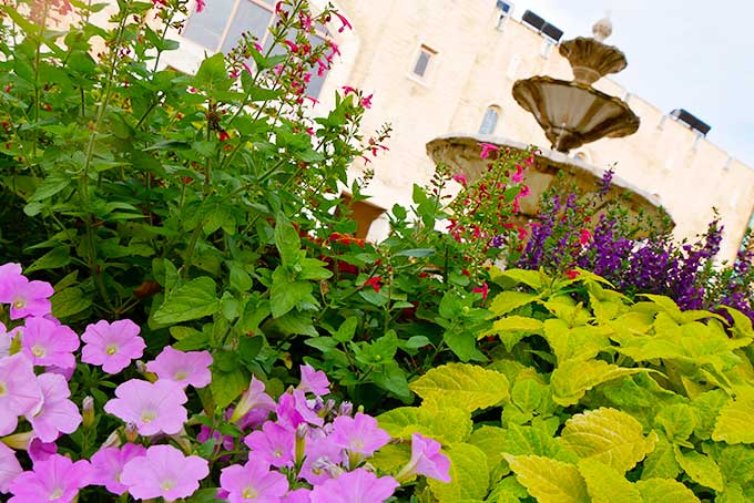 ラグーナを後に…