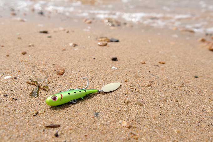 コアマンのバックチャター