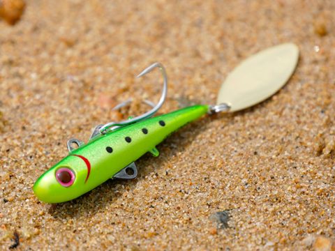 【BC-26】コアマン・バックチャターのインプレと使い方!!