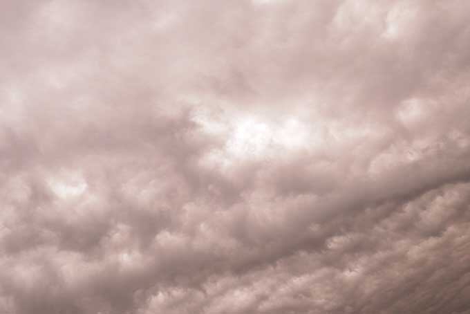 ドンヨリとした雨上がり