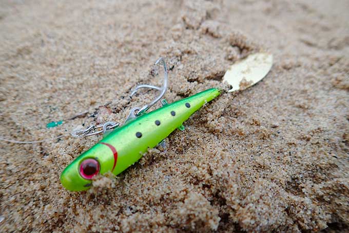 BC-26バックチャター