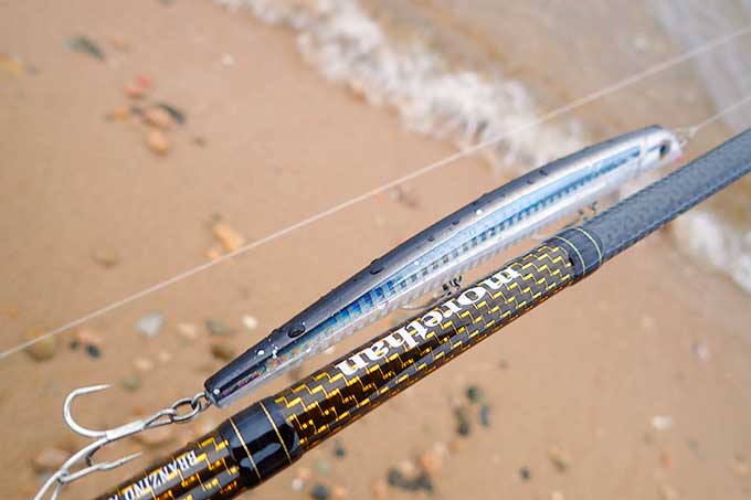 久しぶりのパラガス