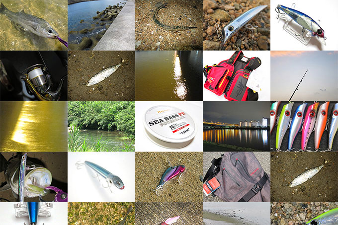 シーバス釣りの基本とコツ!60項目を総まとめ!