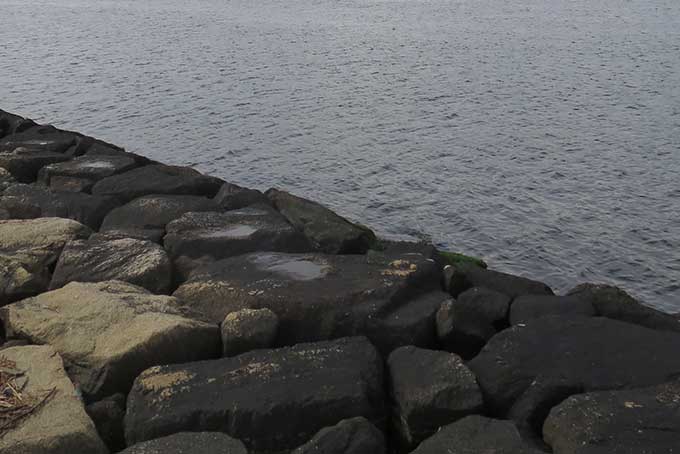 護岸もシーバスが釣れる