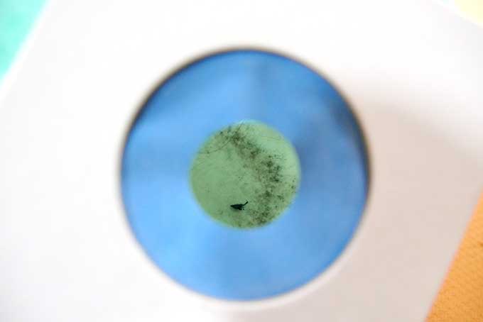 掃除機をかけた直後に使った結果