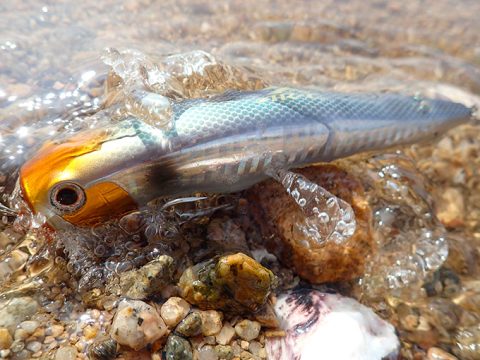 リバーシーバスに最適な表層ルアーAGAKE(アガケ)のインプレ!!