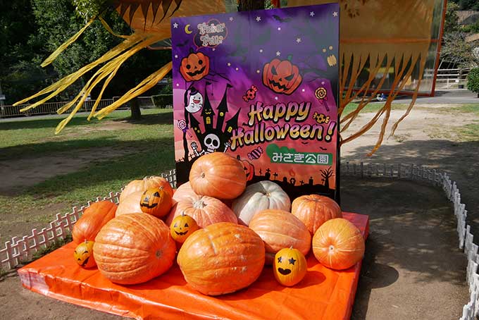 ハロウィンの飾り