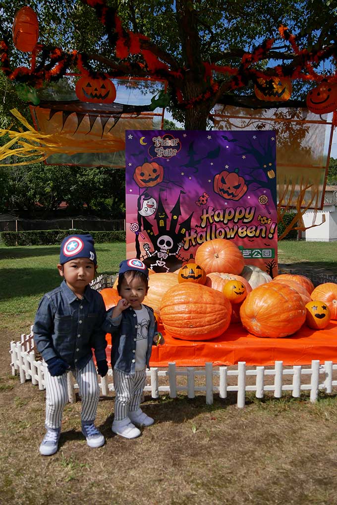 ハロウィンの撮影スポット