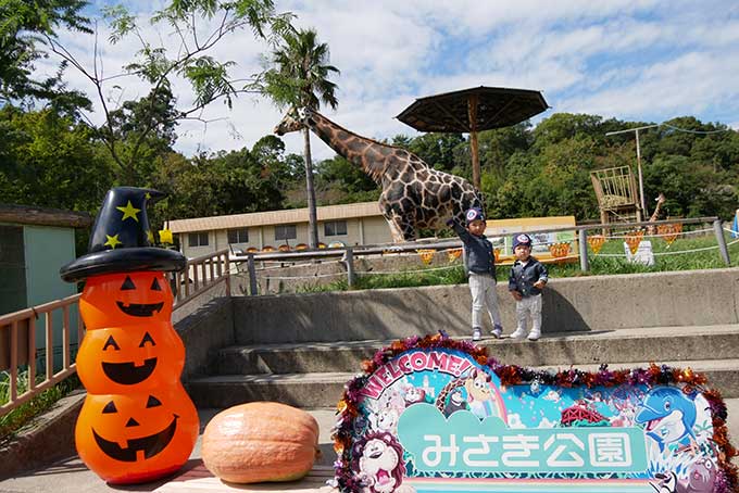 キリンさんの前が撮影スポット