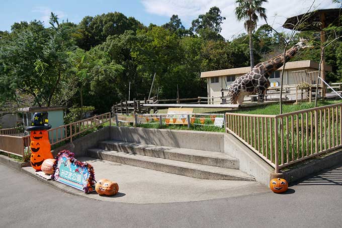 動物園の撮影スポット