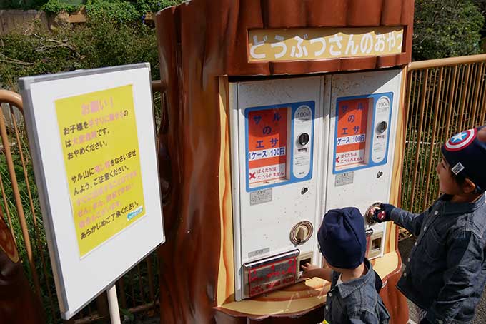 お猿さんの餌を発見