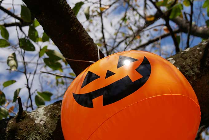 ハロウィンのカボチャ