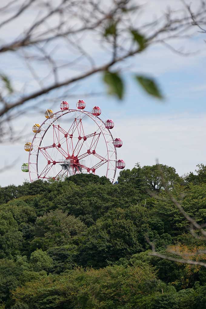 観覧車が見えます!