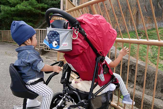 トラとライオンのエリア