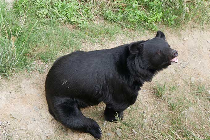 迫力があります!!